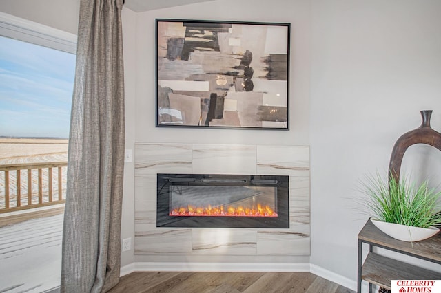 details with a high end fireplace and wood-type flooring