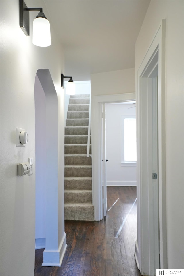 stairs featuring hardwood / wood-style floors