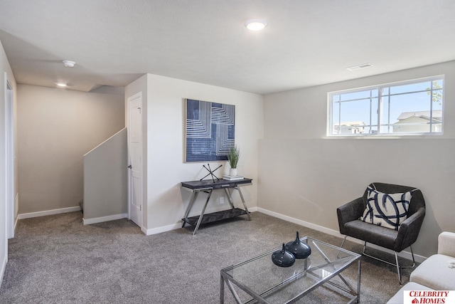 sitting room with carpet floors