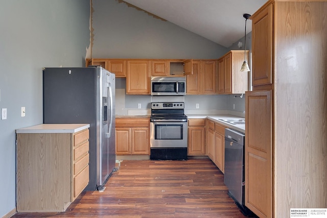 kitchen featuring appliances with stainless steel finishes, lofted ceiling, dark wood-type flooring, light brown cabinetry, and hanging light fixtures