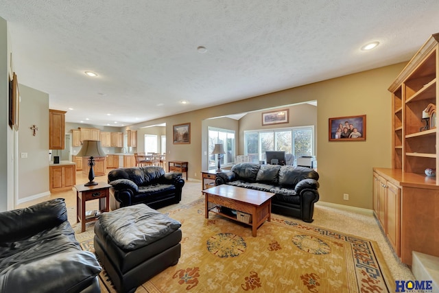 living room featuring a textured ceiling and light colored carpet