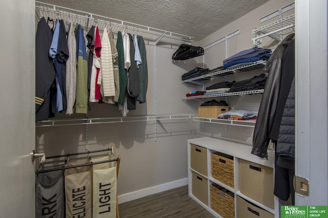 walk in closet featuring dark hardwood / wood-style flooring