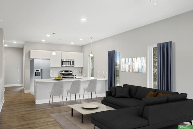 living room with dark hardwood / wood-style flooring