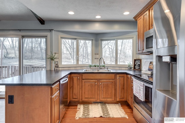 kitchen with appliances with stainless steel finishes, a healthy amount of sunlight, light hardwood / wood-style flooring, and sink