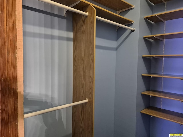 view of walk in closet