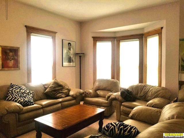 living room with plenty of natural light