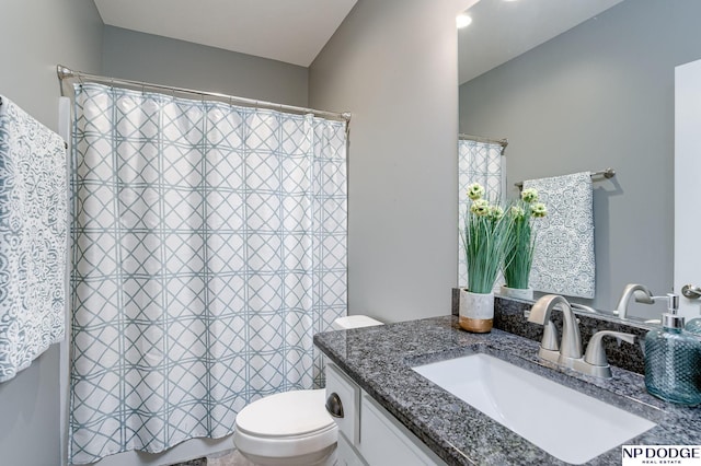 bathroom with toilet and vanity