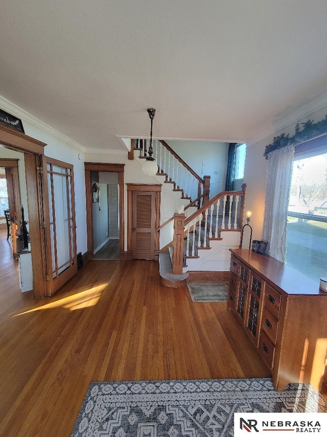 foyer entrance featuring dark wood-type flooring and crown molding