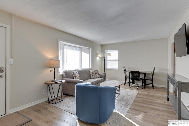 living room featuring light hardwood / wood-style floors