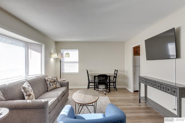 living room featuring light wood-type flooring