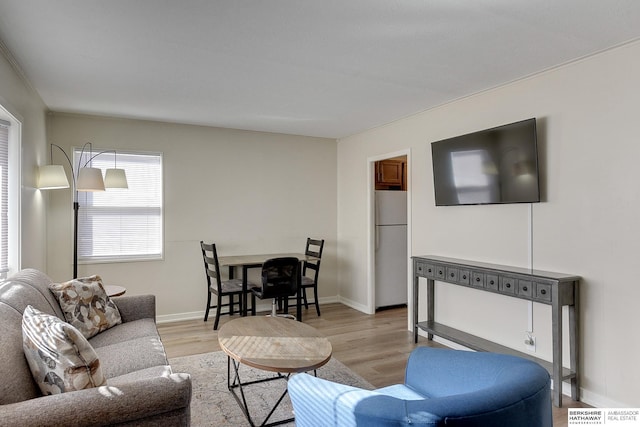 living room featuring light hardwood / wood-style floors