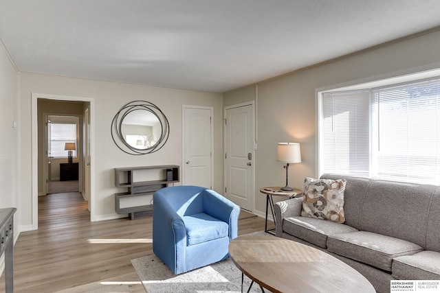 living room featuring light hardwood / wood-style flooring