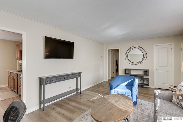 living room featuring light hardwood / wood-style floors