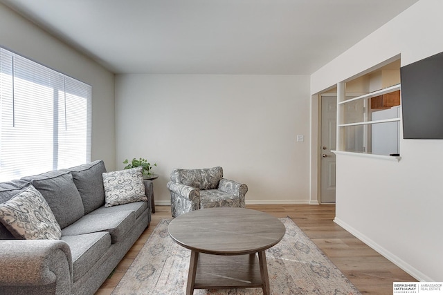 living room with light hardwood / wood-style flooring