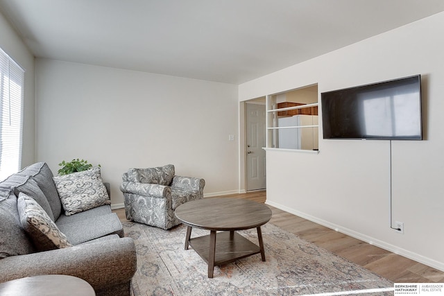 living room featuring hardwood / wood-style floors