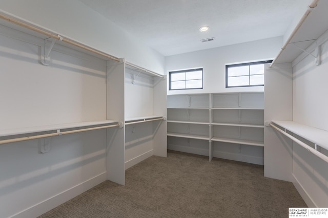 walk in closet featuring dark colored carpet