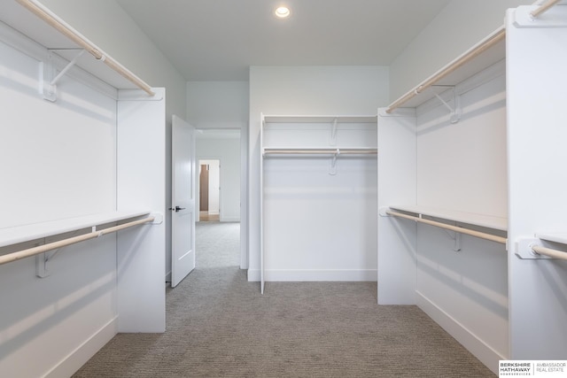 walk in closet featuring carpet