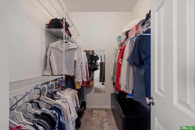 spacious closet with carpet flooring