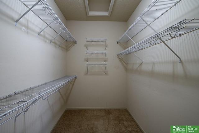 spacious closet featuring carpet flooring