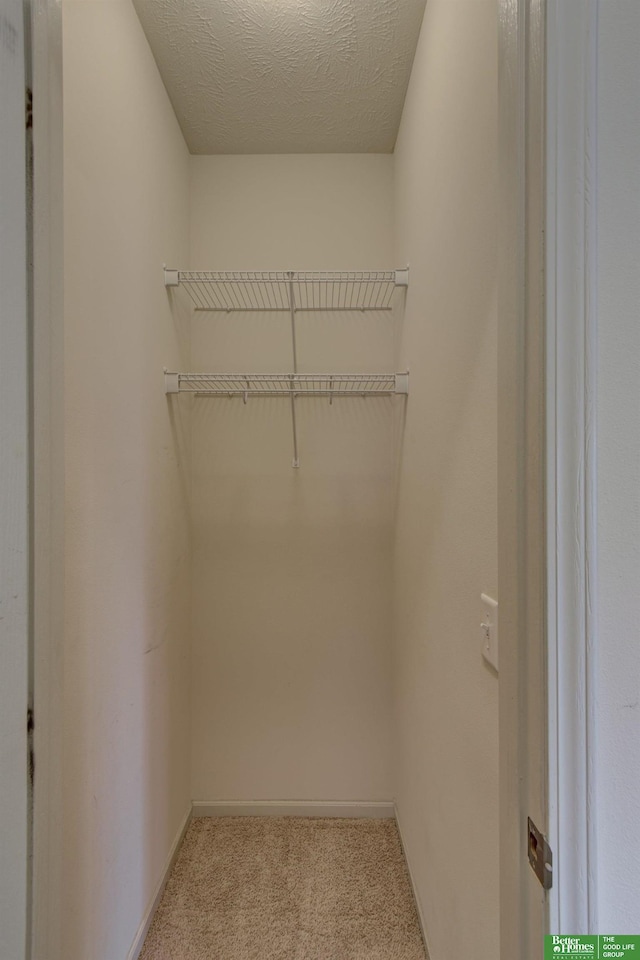 walk in closet with light colored carpet