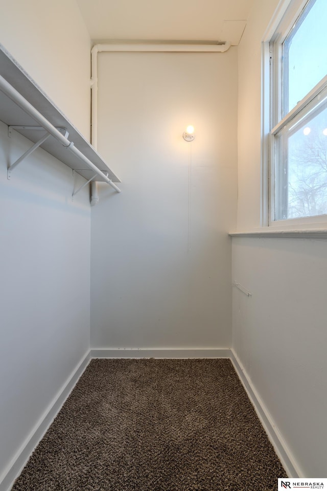 walk in closet featuring carpet