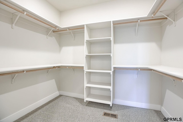 spacious closet featuring light colored carpet