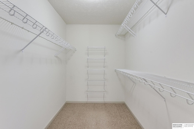 spacious closet featuring carpet floors