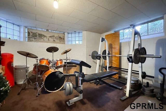 exercise area featuring carpet flooring