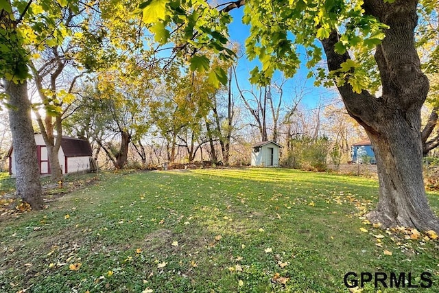 view of yard with a storage shed