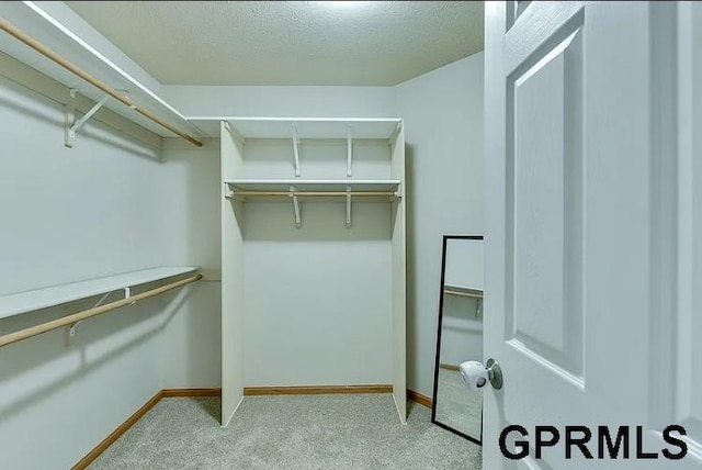 spacious closet with light carpet