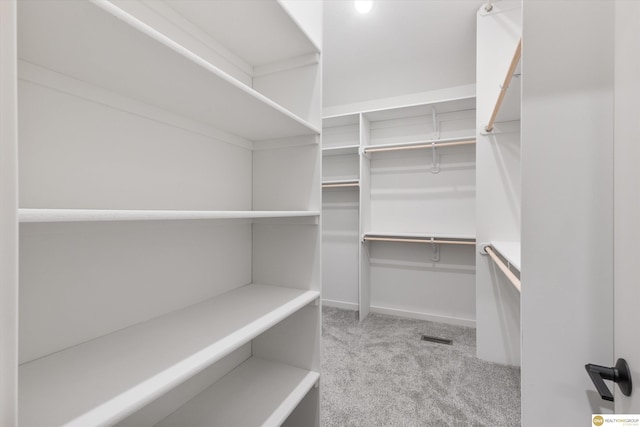 walk in closet with light colored carpet