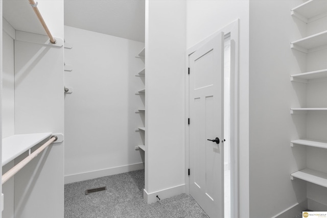 walk in closet featuring carpet flooring