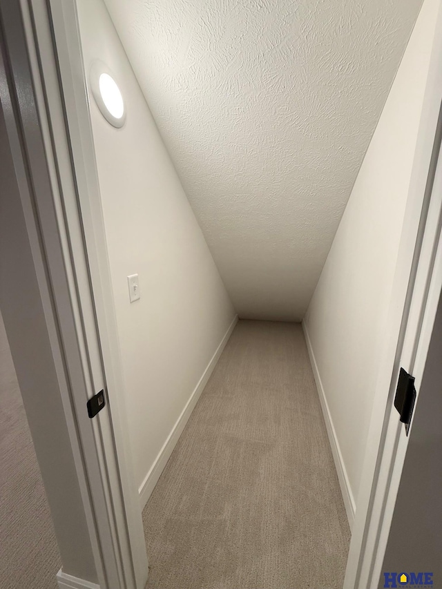 interior space with light colored carpet and a textured ceiling