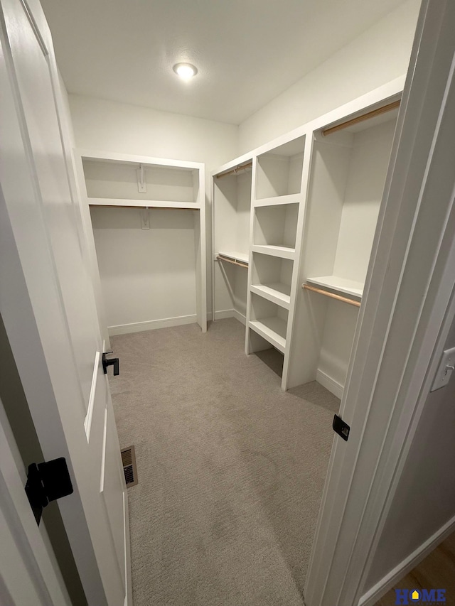 spacious closet with carpet floors