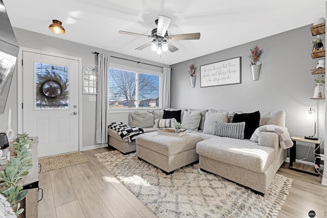 living room with ceiling fan and light wood-type flooring