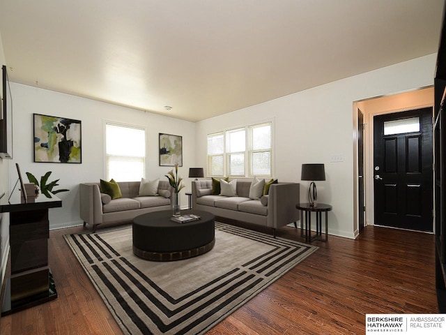 living room featuring dark wood-type flooring