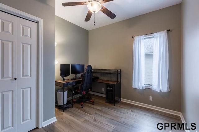 office with ceiling fan and light hardwood / wood-style flooring