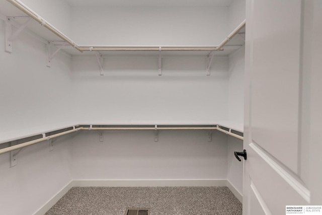 spacious closet featuring carpet flooring