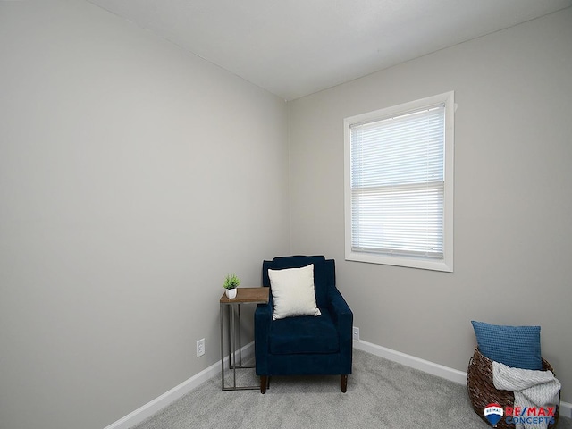 sitting room with light carpet