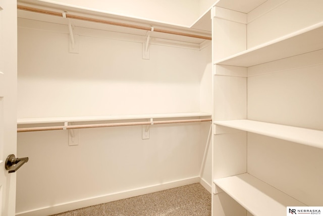 walk in closet with carpet