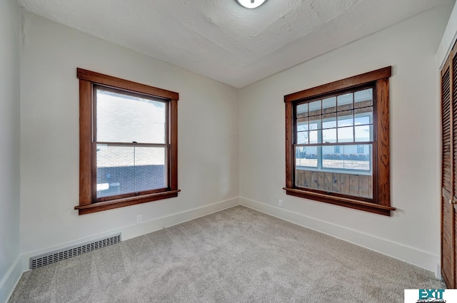 empty room with light colored carpet, a healthy amount of sunlight, and a textured ceiling