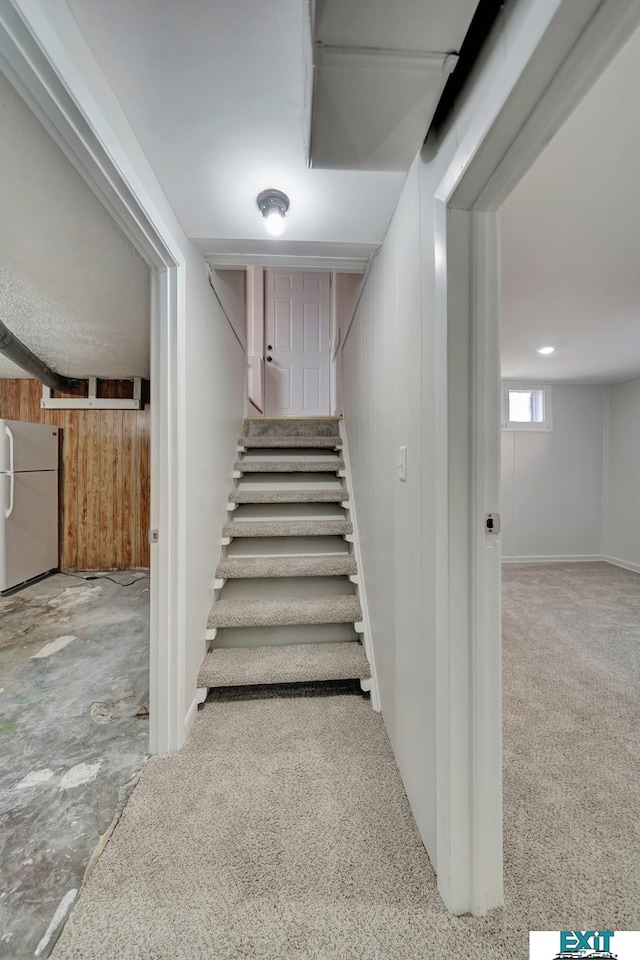 stairway featuring carpet floors