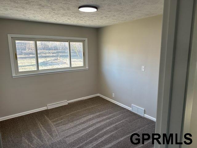 unfurnished room with carpet floors, a textured ceiling, and a healthy amount of sunlight