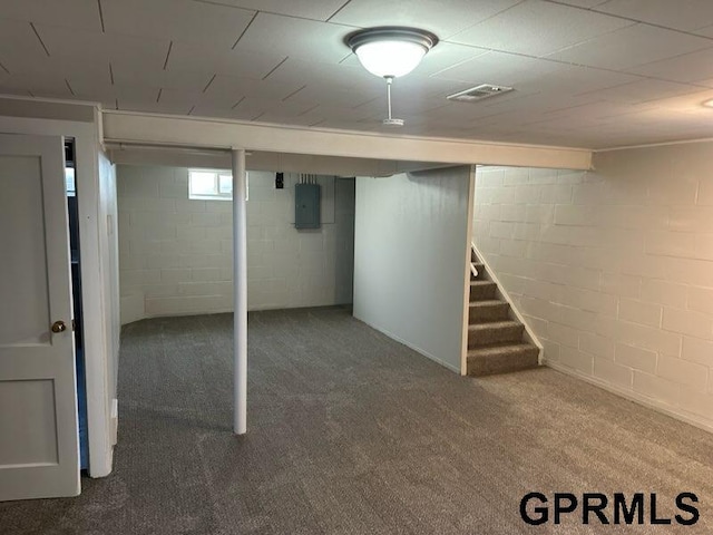 basement featuring carpet flooring and electric panel