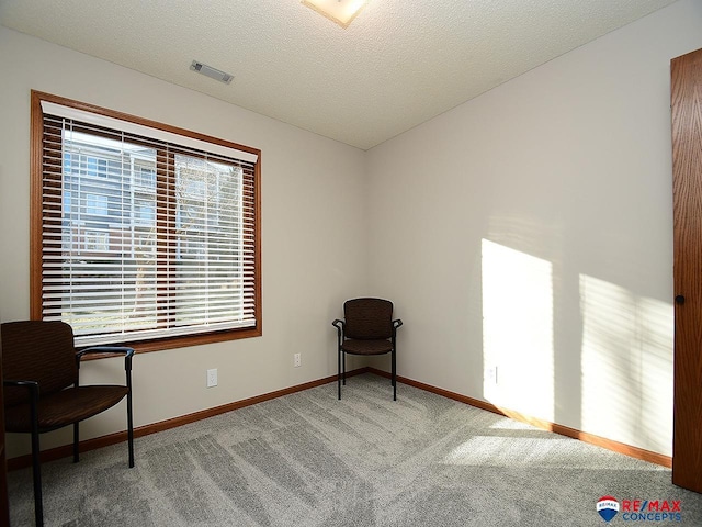 sitting room with carpet and a textured ceiling