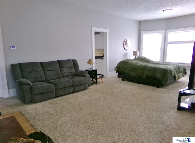 carpeted bedroom with a textured ceiling