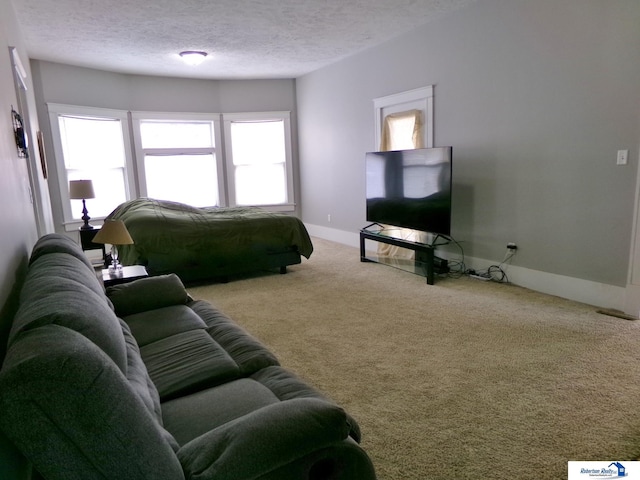 carpeted living room with baseboards and a textured ceiling