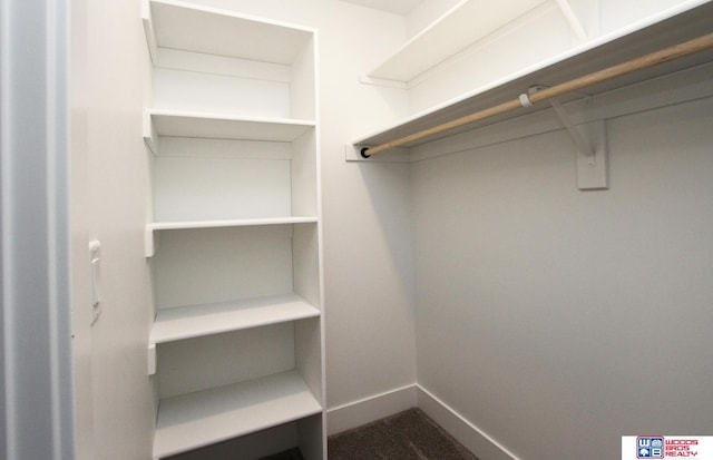 view of spacious closet