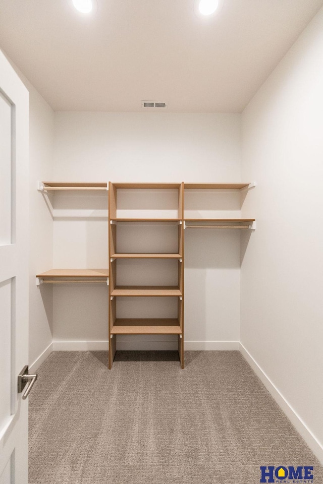 walk in closet featuring carpet floors