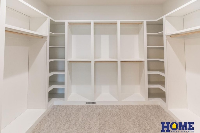 spacious closet featuring carpet floors